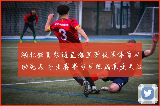 湖北教育频道直播呈现校园体育活动亮点 学生赛事与训练成果受关注