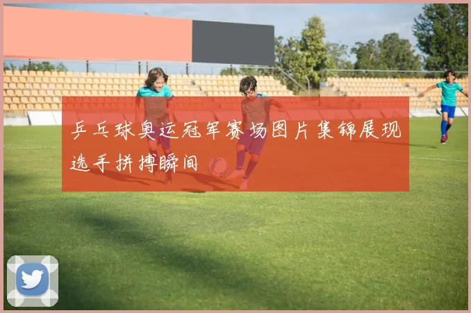 乒乓球奥运冠军赛场图片集锦展现选手拼搏瞬间