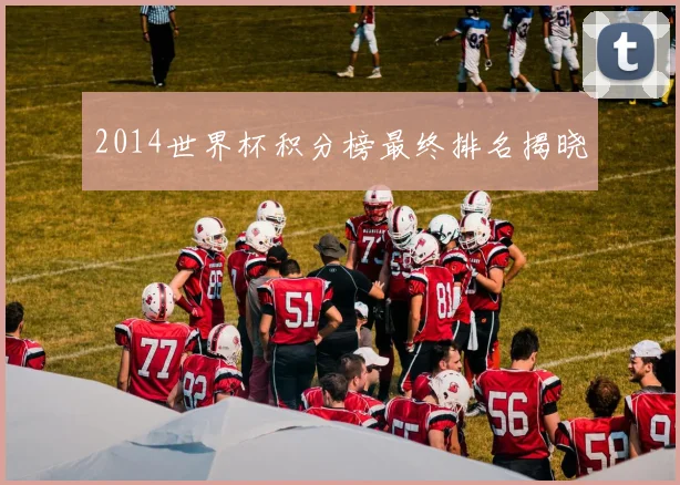 2014世界杯积分榜最终排名揭晓