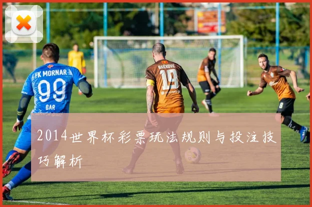 2014世界杯彩票玩法规则与投注技巧解析