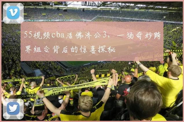 55视频cba活佛济公3，一场奇妙跨界组合背后的惊喜探秘