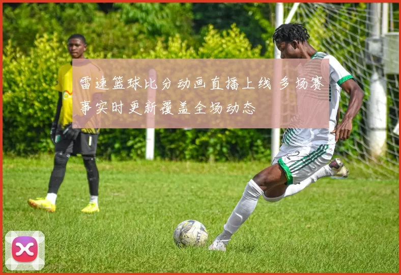 雷速篮球比分动画直播上线 多场赛事实时更新覆盖全场动态