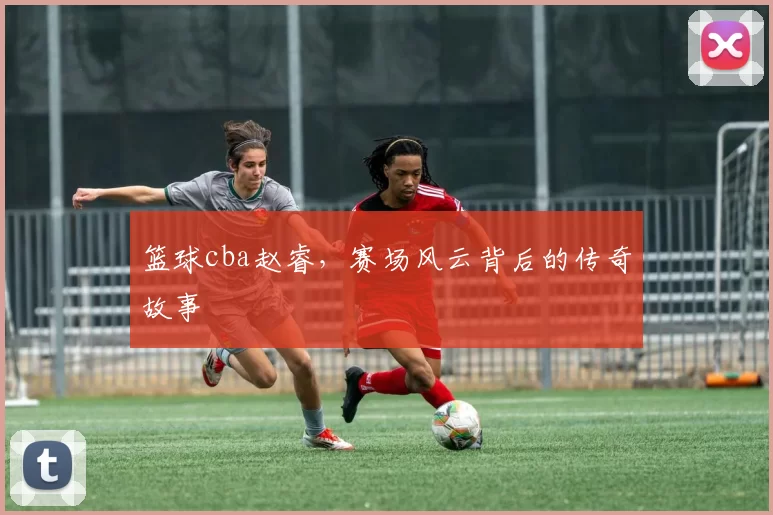 篮球cba赵睿，赛场风云背后的传奇故事