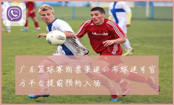 广东篮球赛购票渠道公布球迷可官方平台提前预约入场