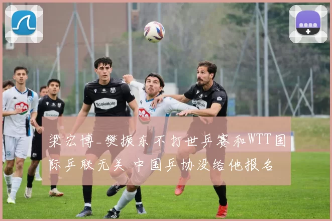 梁宏博_樊振东不打世乒赛和WTT国际乒联无关 中国乒协没给他报名